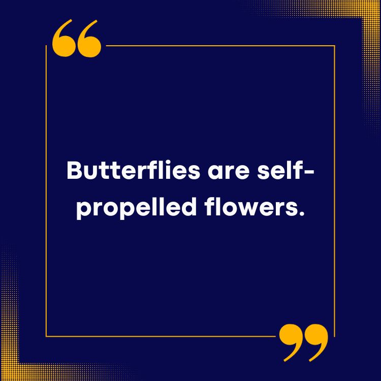 Butterfly Quotes