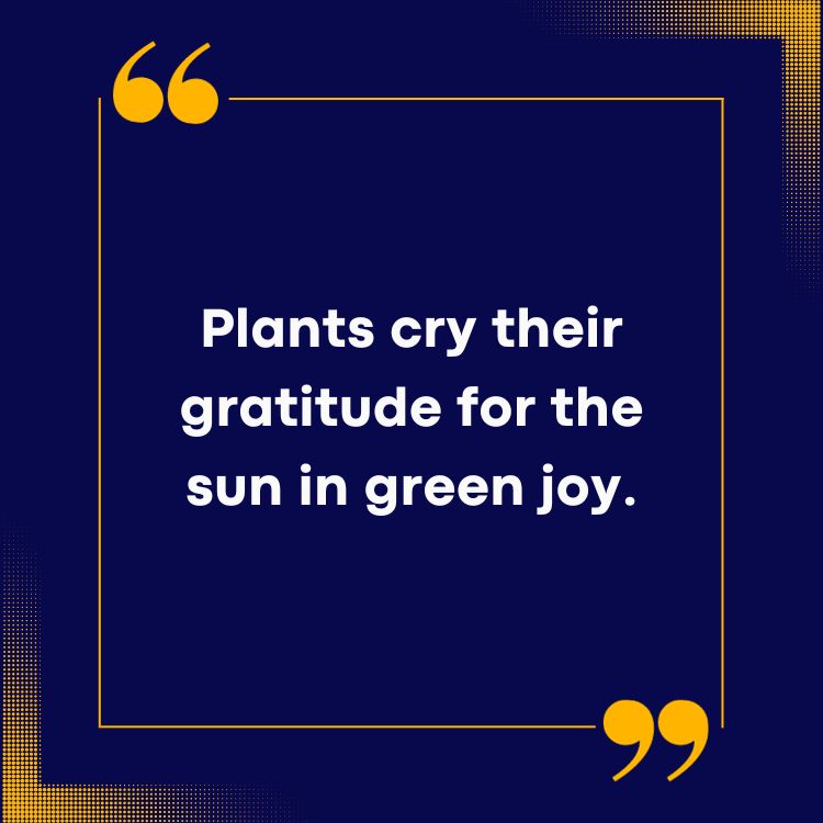 Plant Quotes