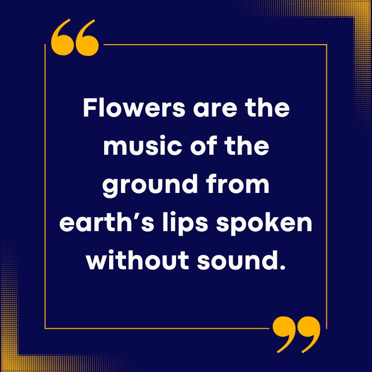 Flower Quotes