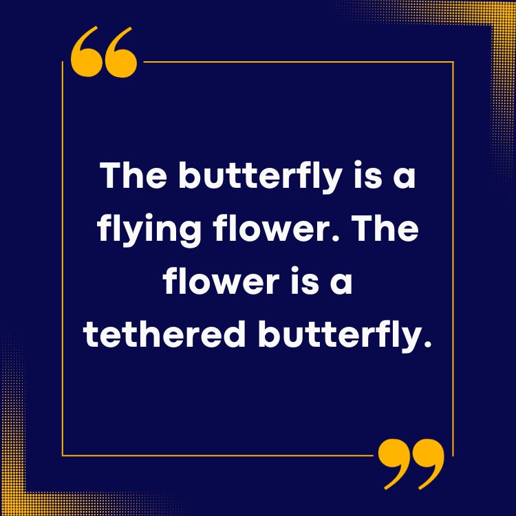 Butterfly Quotes