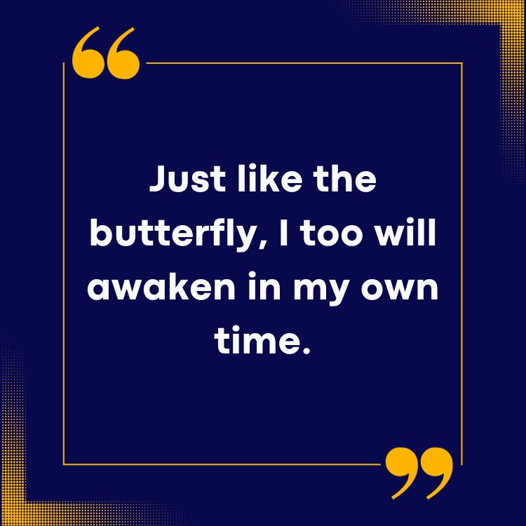 Butterfly Quotes