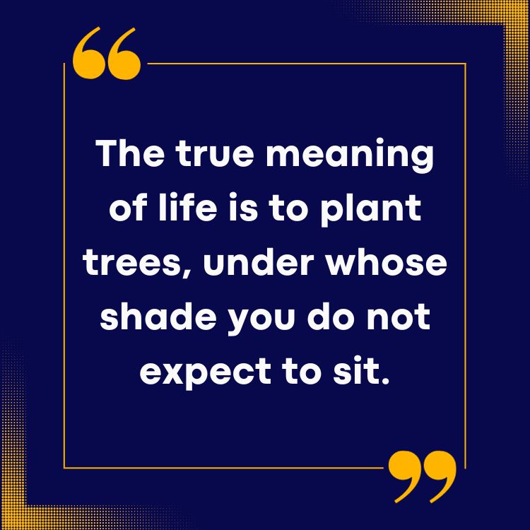 Tree Quotes